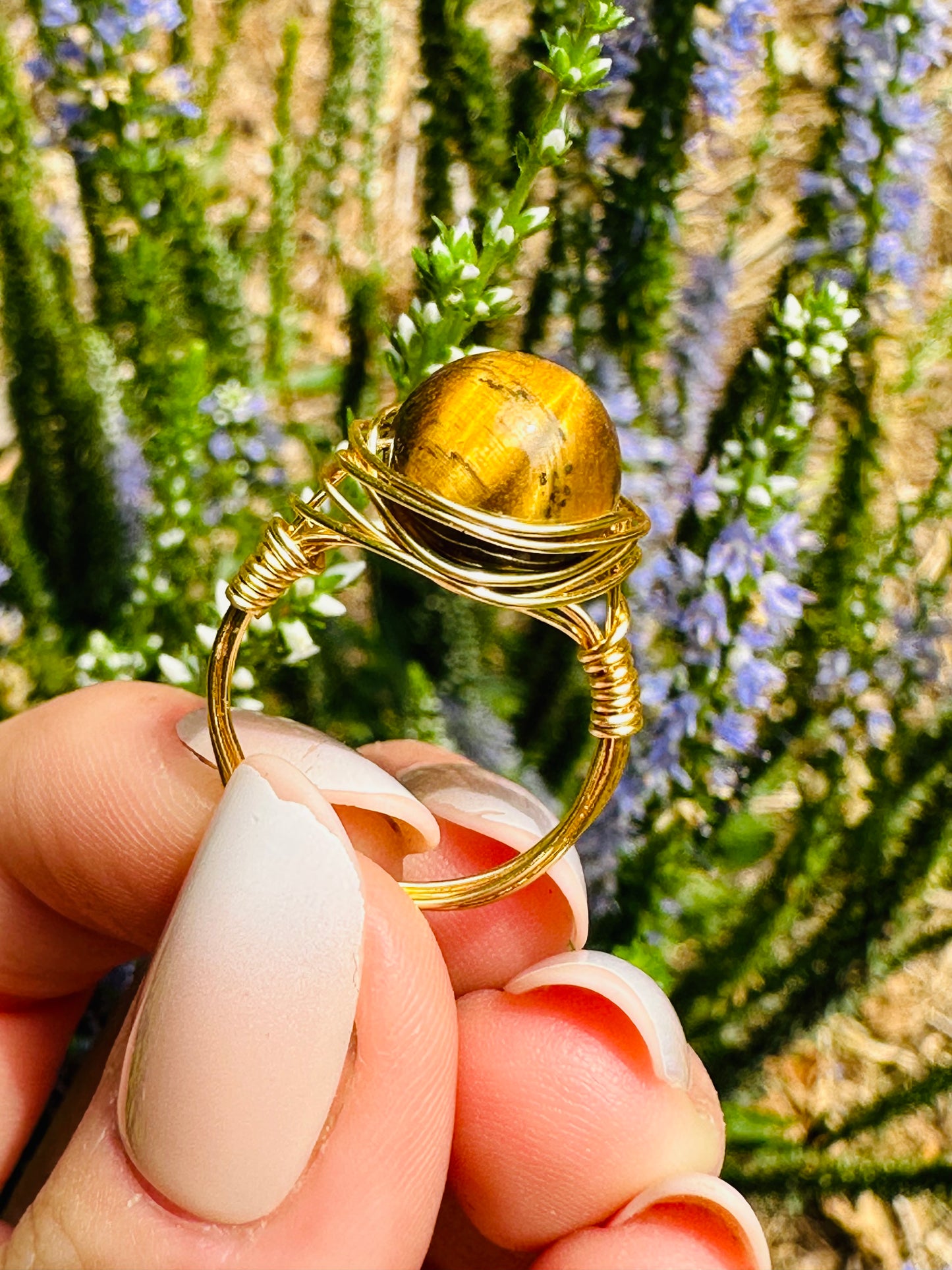 Tigers Eye