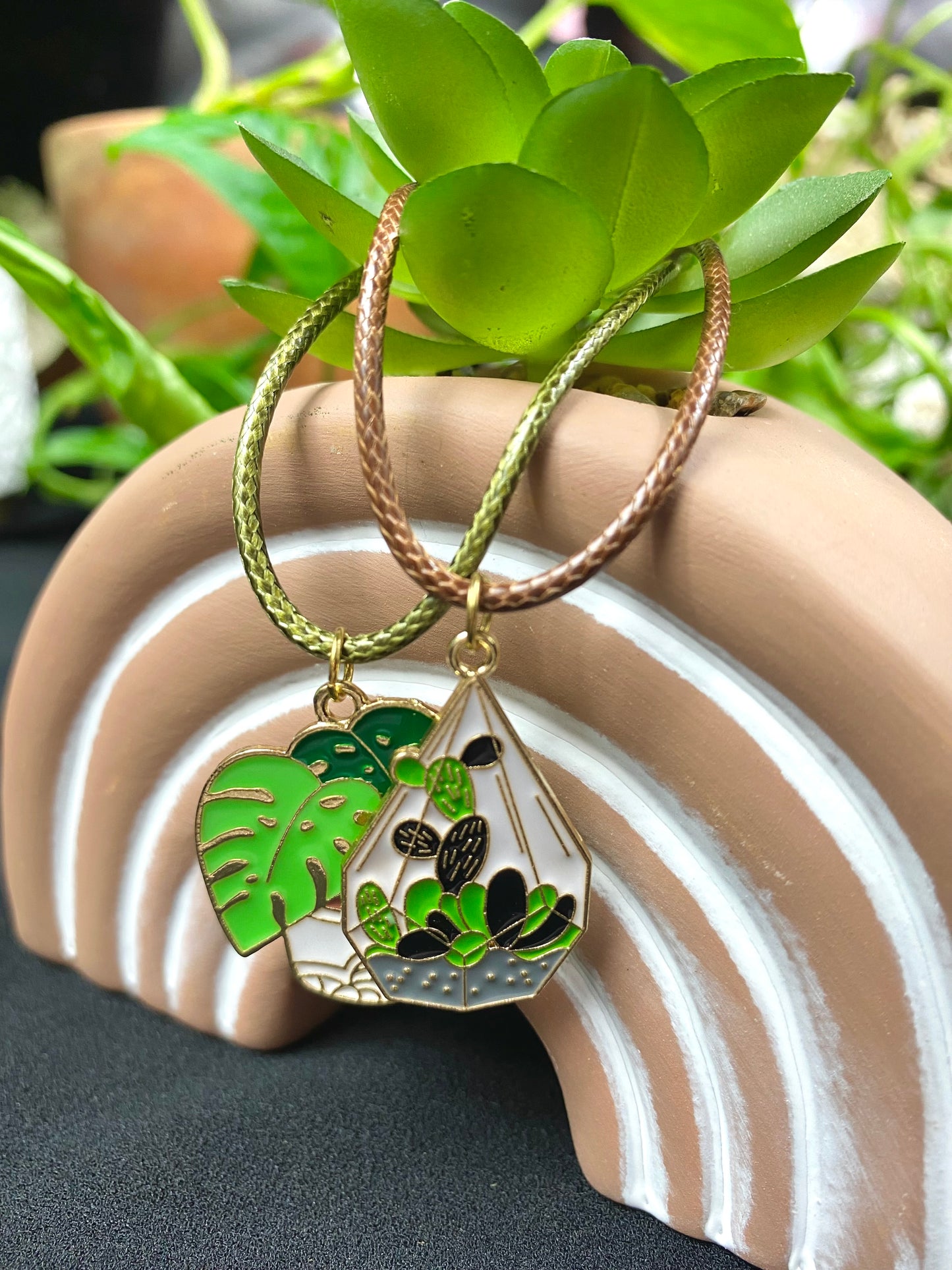 Monstera