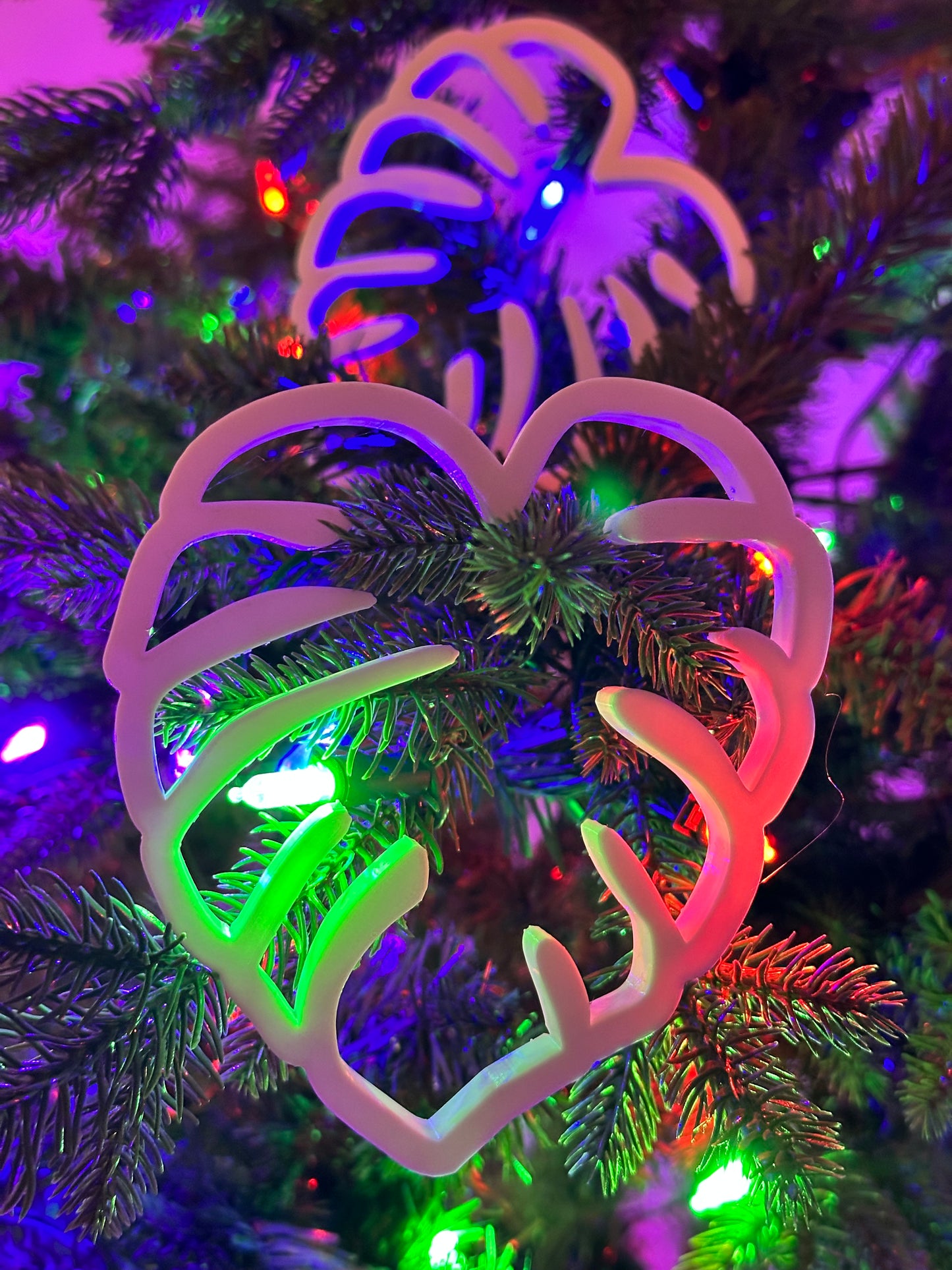 Monstera cookie cutters(pack of 2)
