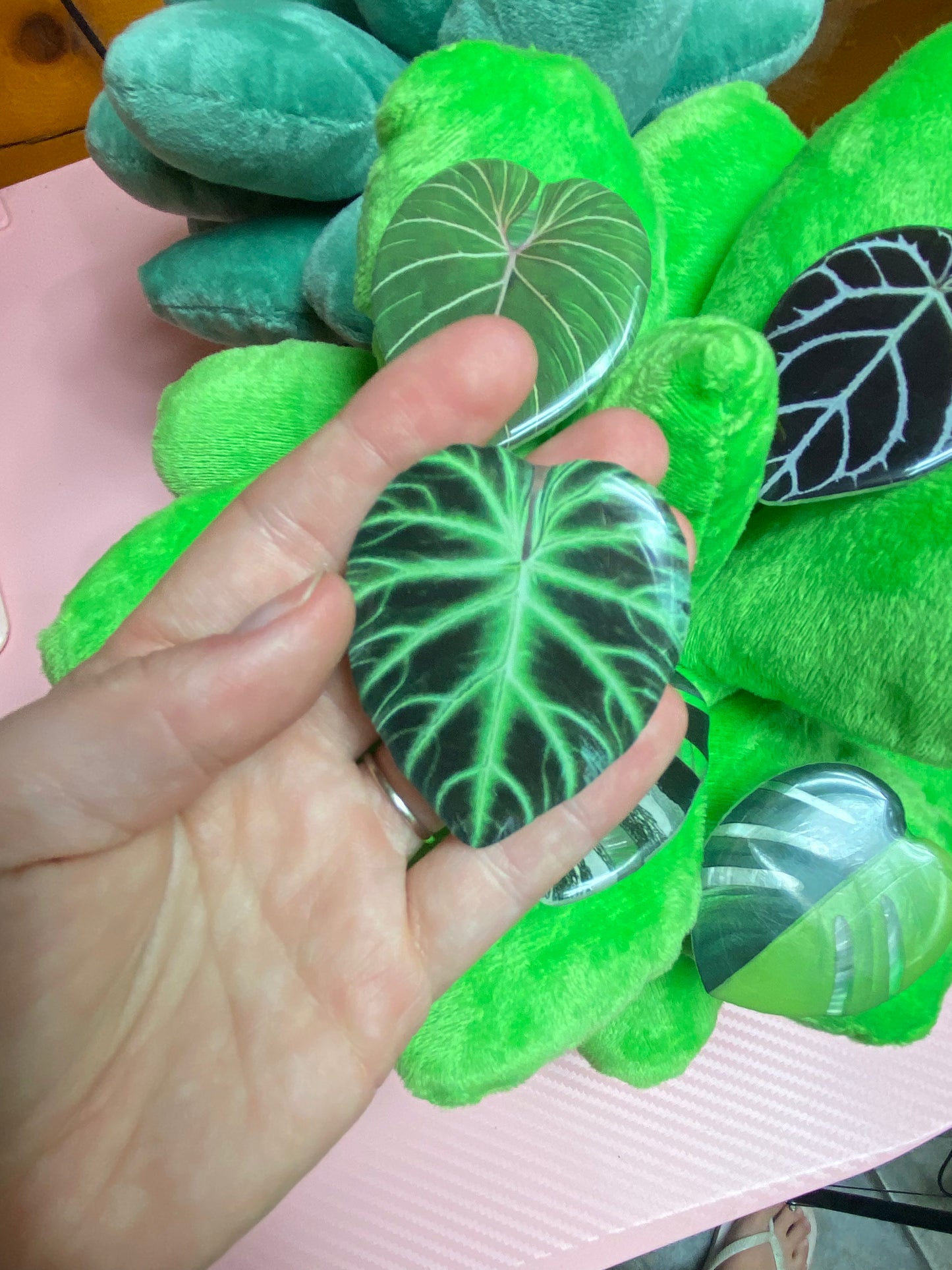 Phone grip - Philodendron ventricosum