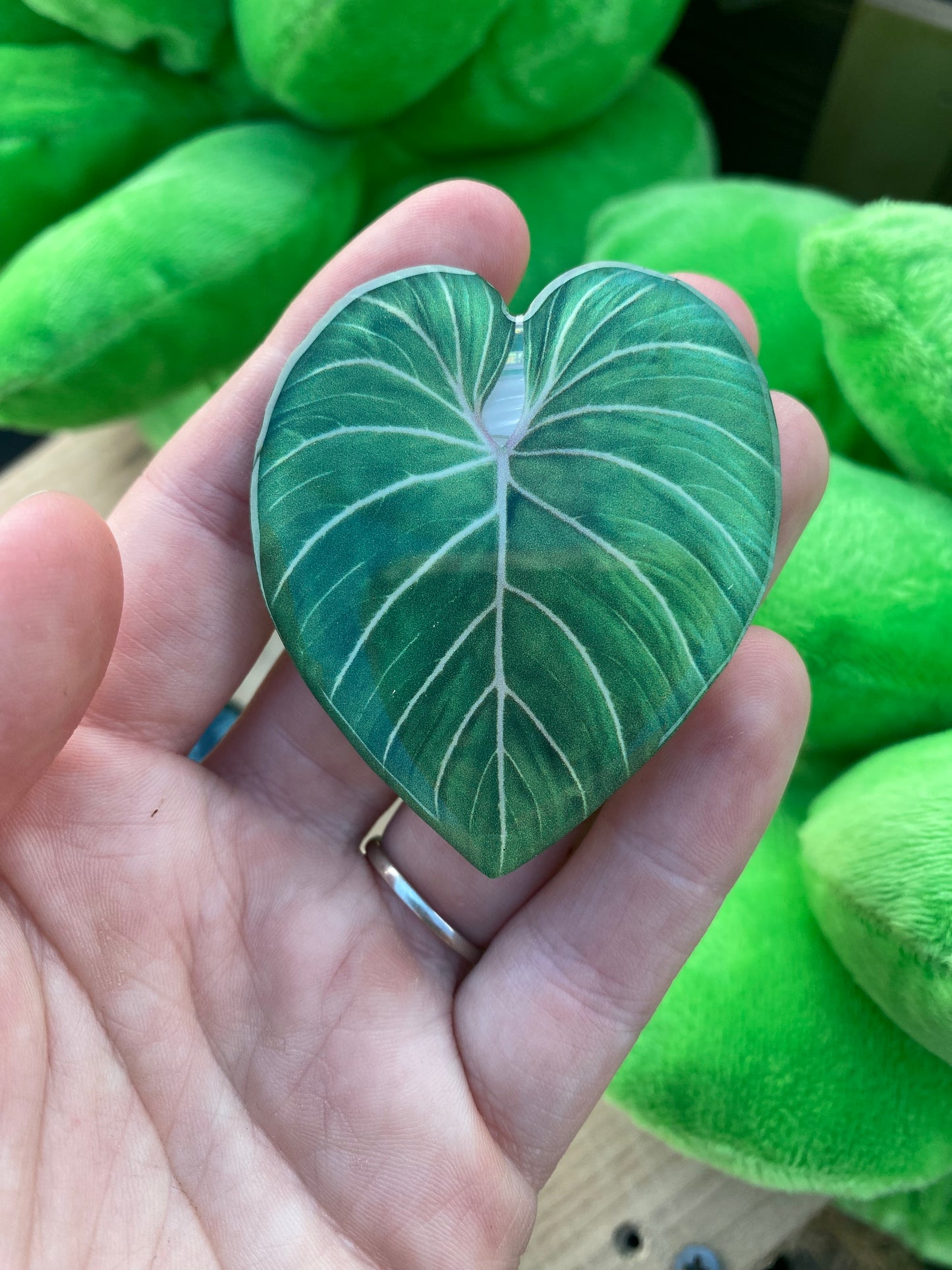 Phone grip - philodendron nanegalense