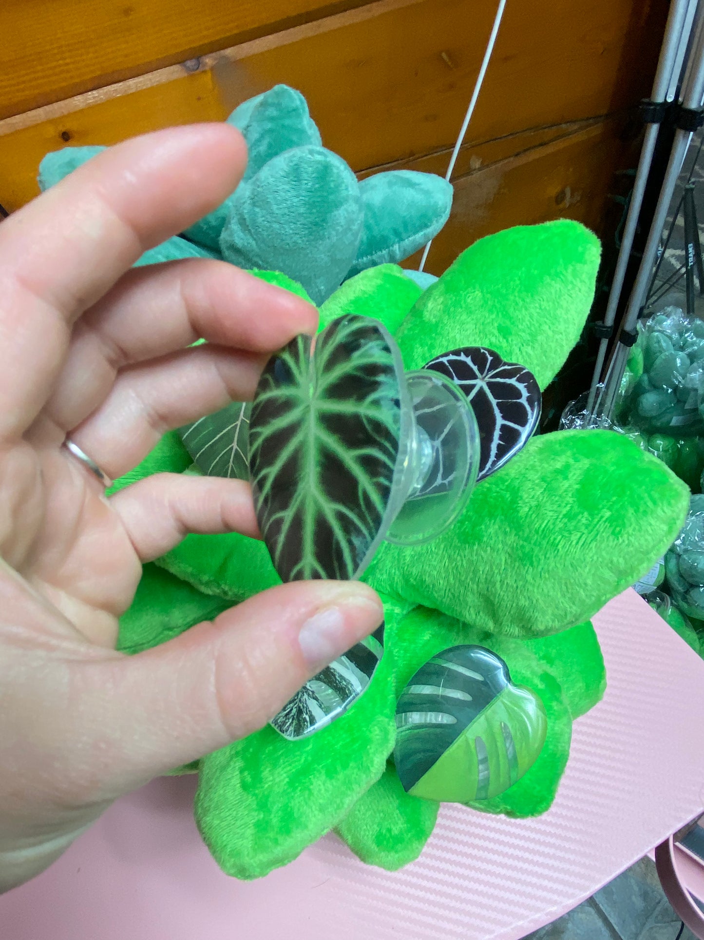 Phone grip - Philodendron ventricosum