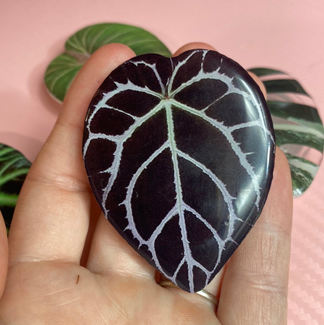 Phone Grip - Anthurium