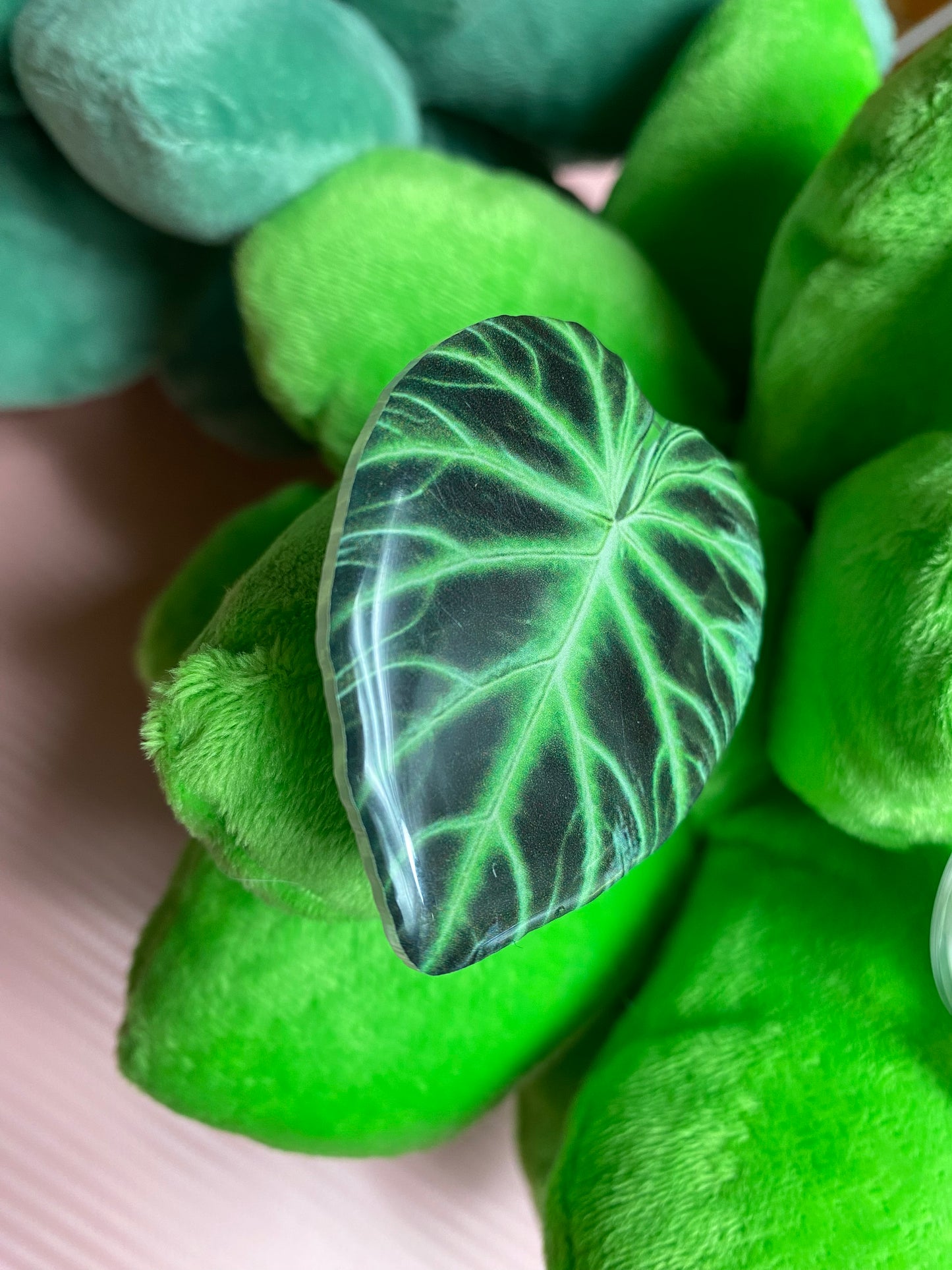 Phone grip - Philodendron ventricosum