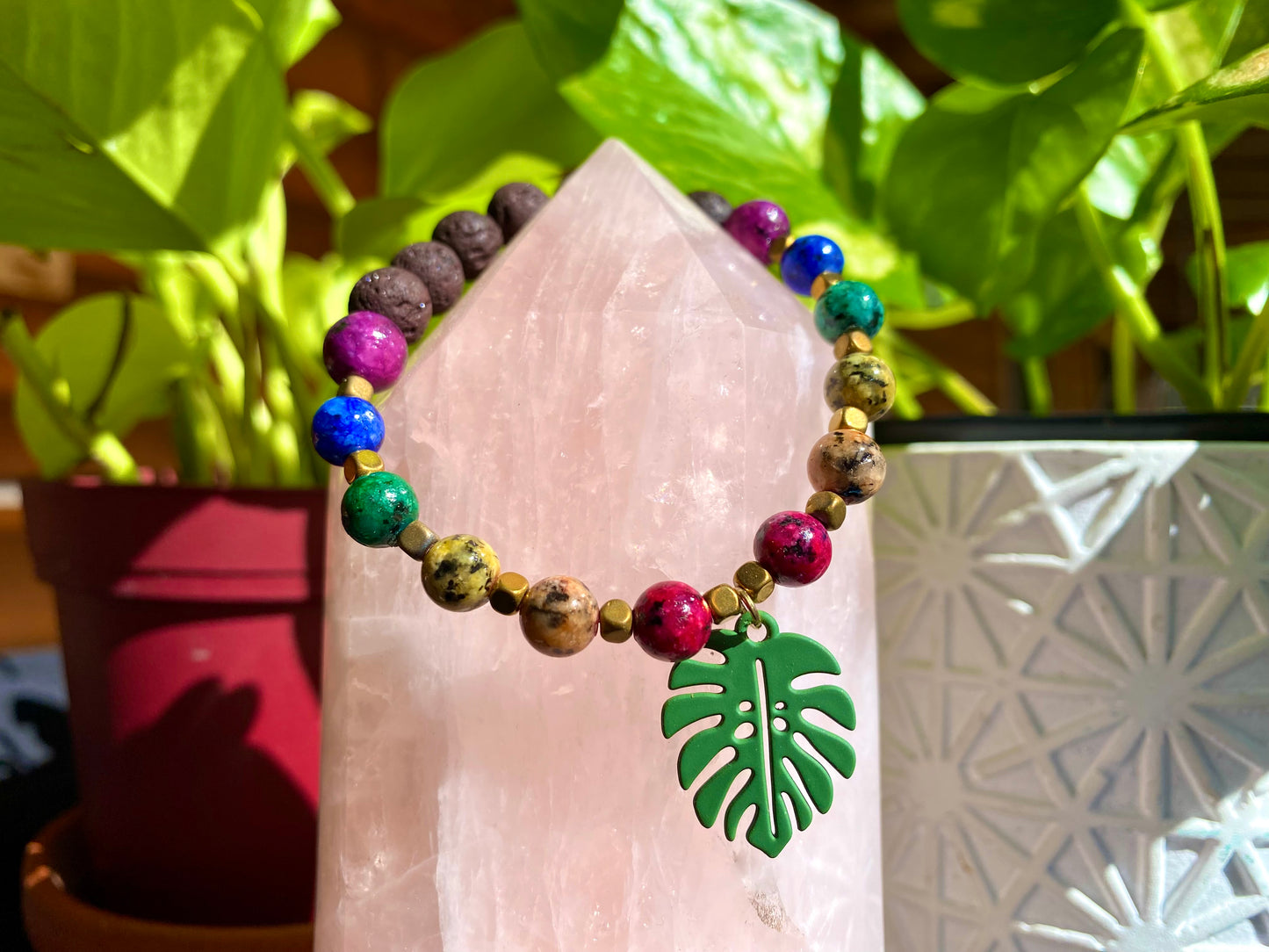 Chakra Monstera