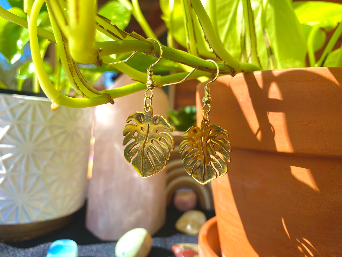 Monstera Leaves