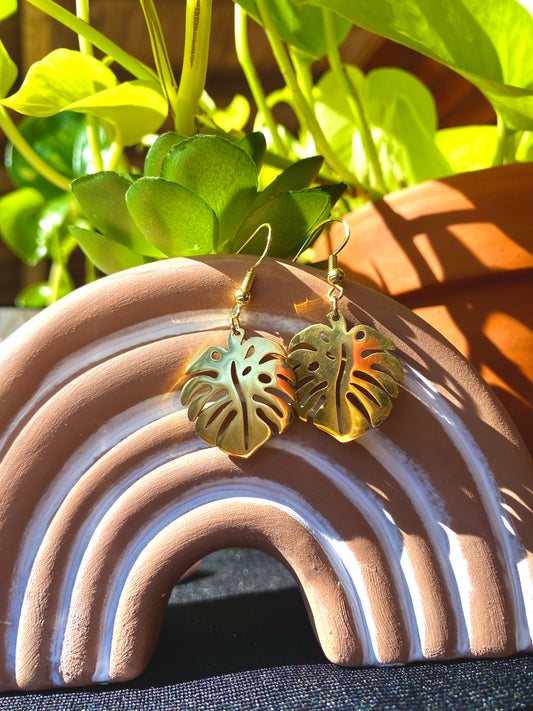 Monstera Leaves