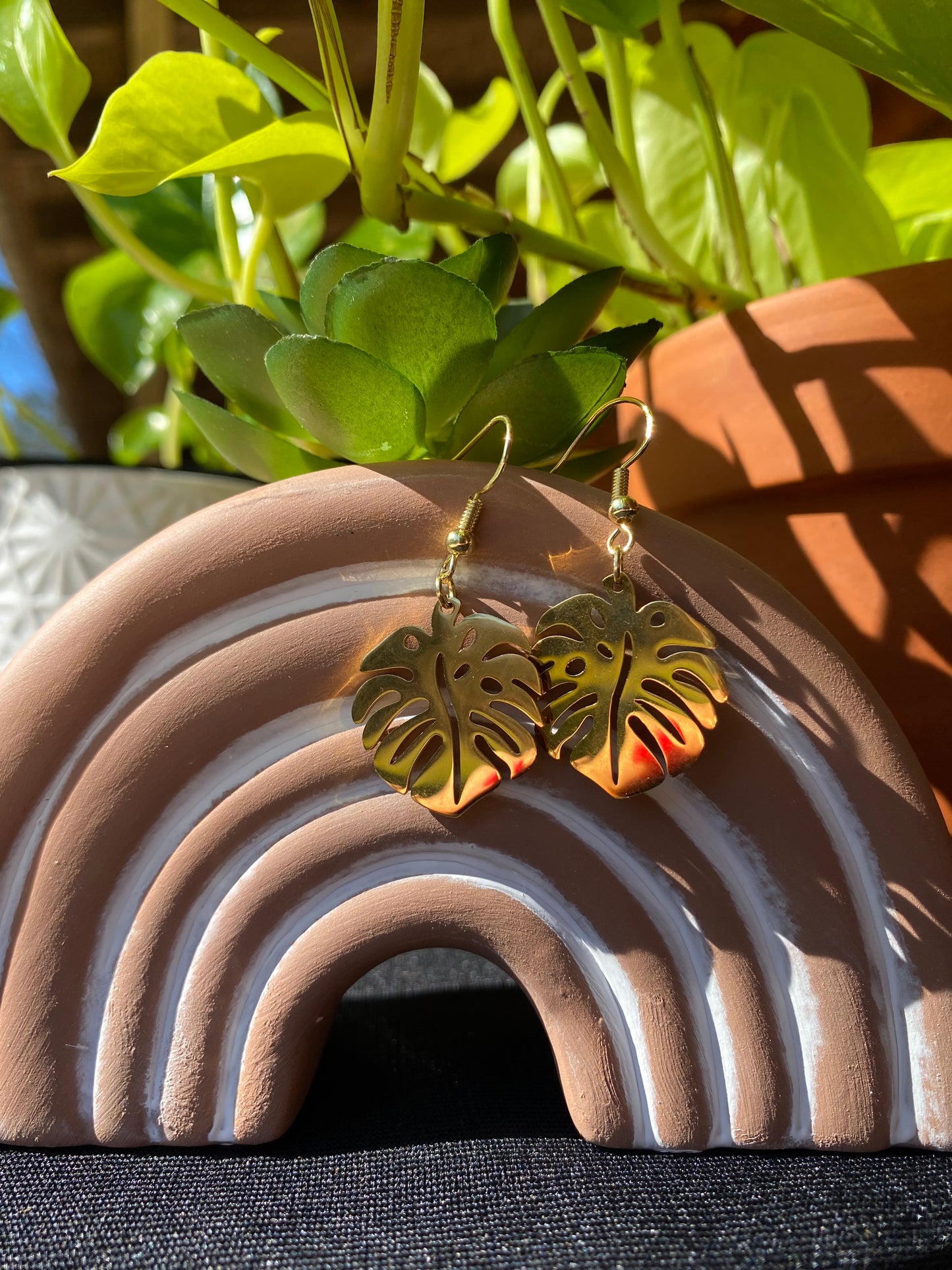 Monstera Leaves