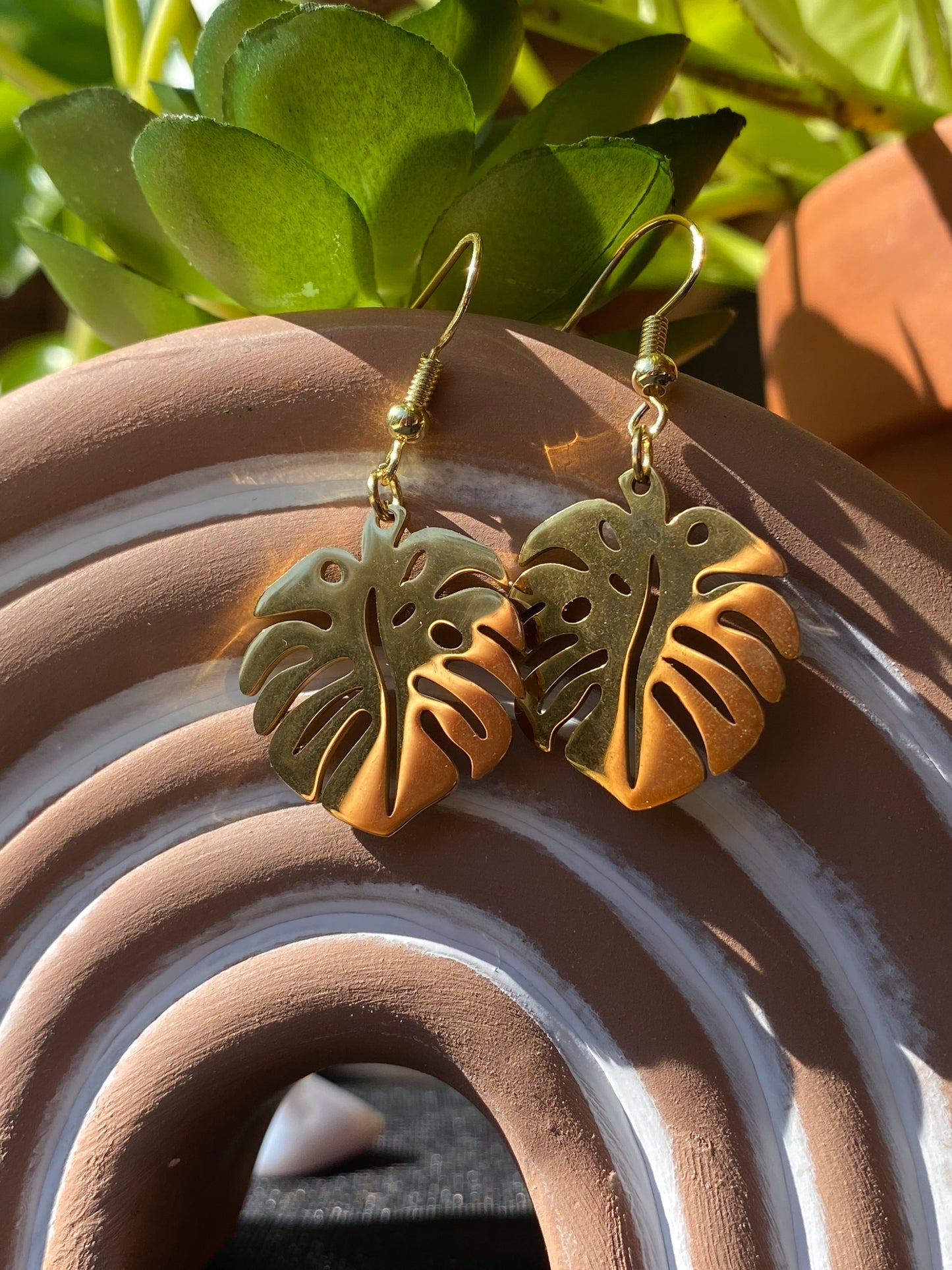 Monstera Leaves