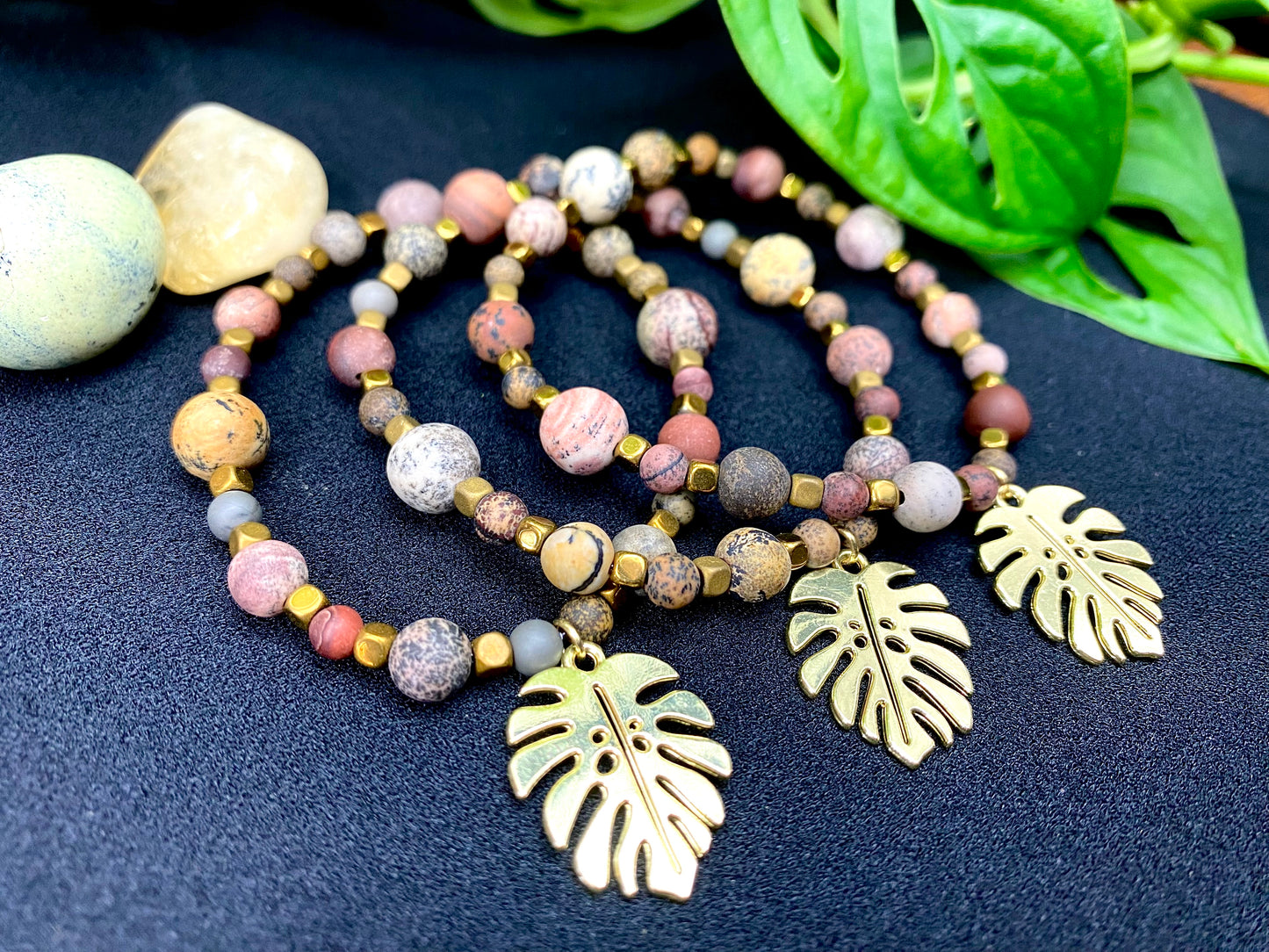 Golden Jasper Monstera