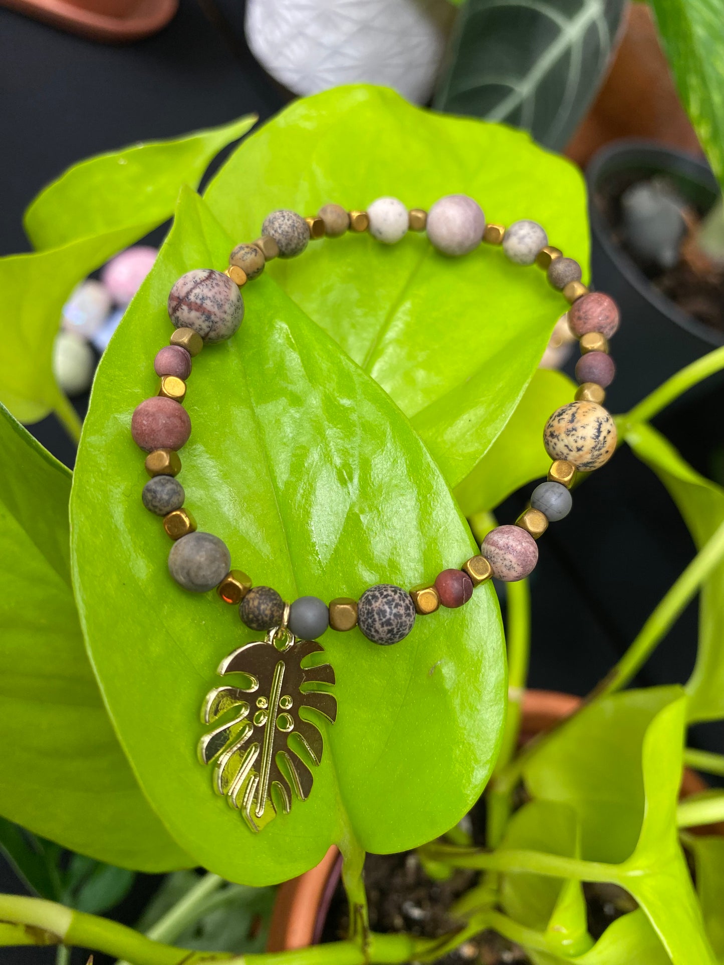Golden Jasper Monstera