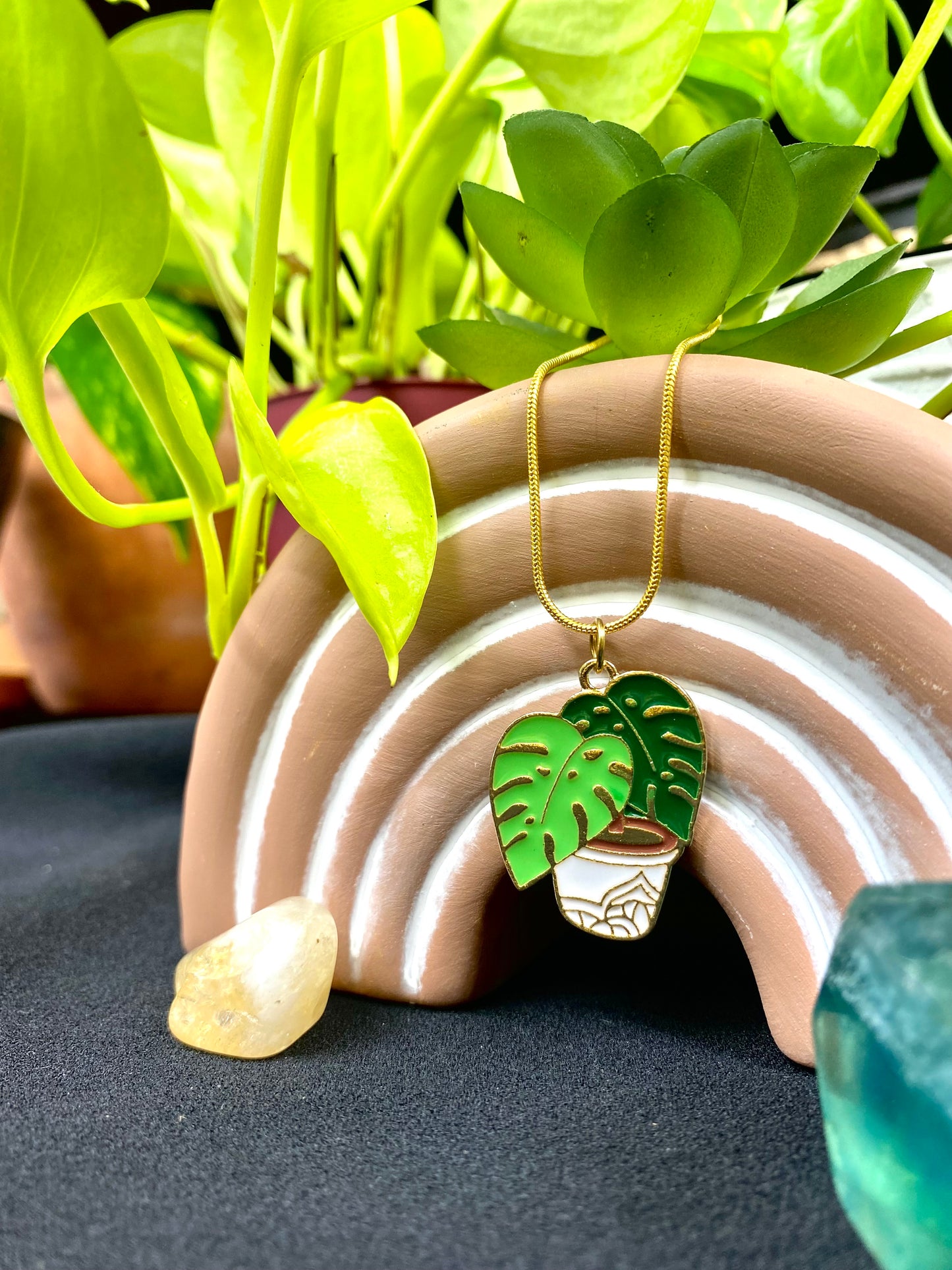 Monstera