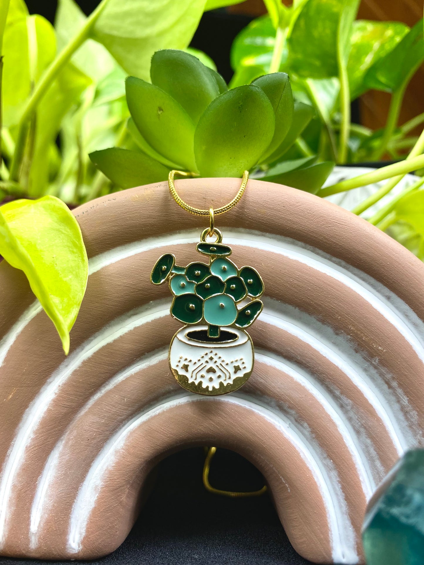 Pilea Peppy!