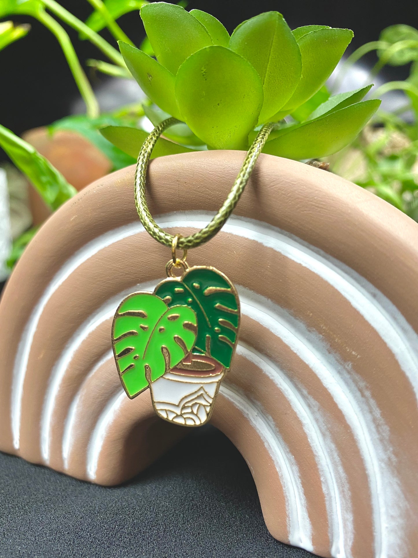 Monstera